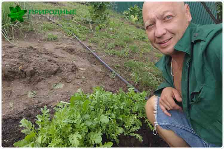 олег буянов руккола