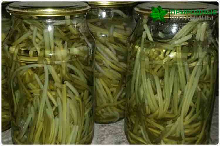 маринованная черемша как приготовить