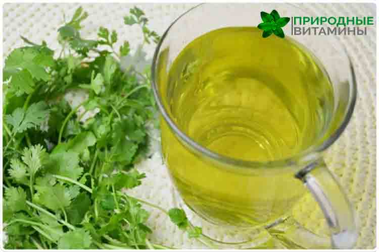 чай из петрушки