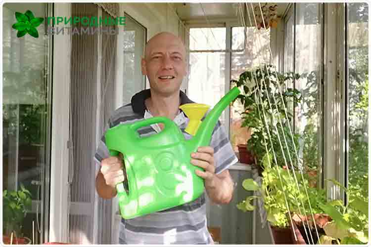 олег буянов полив растений