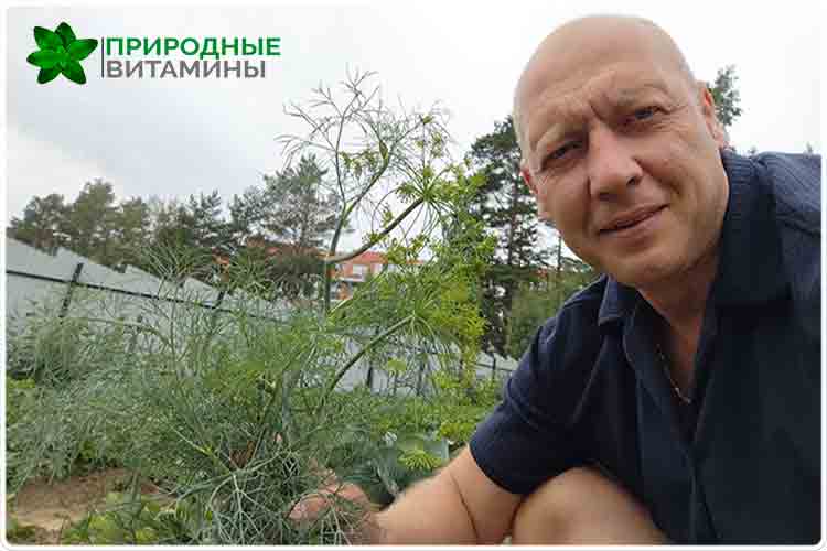 олег буянов выращивание укропа