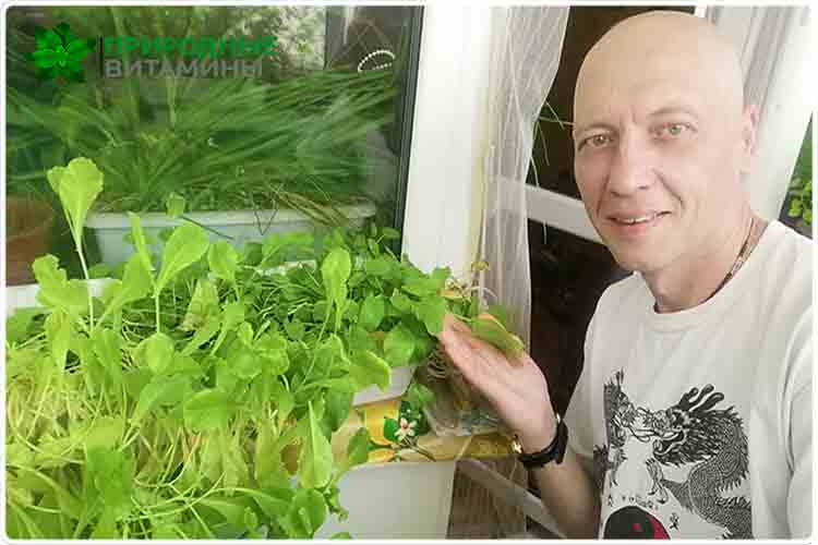 Олег буянов выращивание зелени