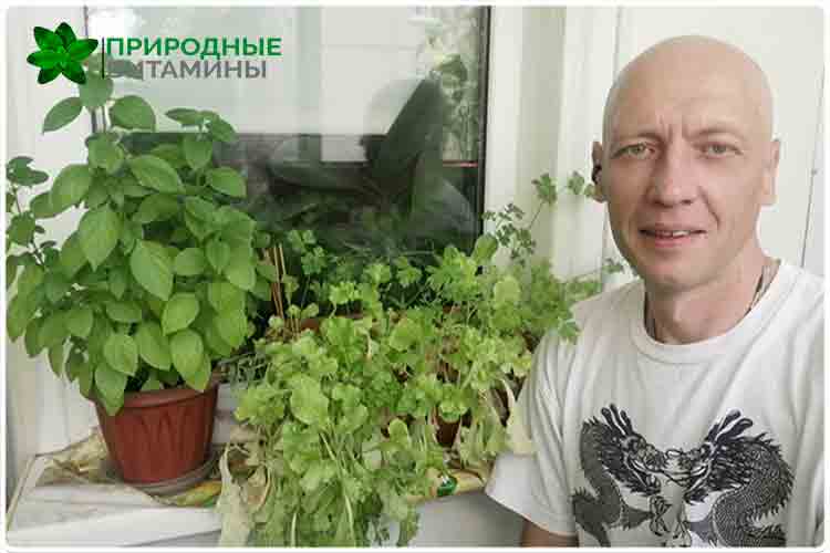 олег буянов зелень